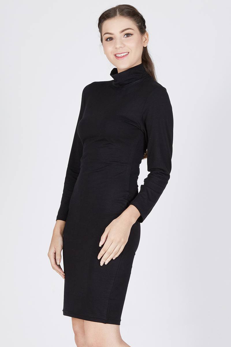 Turtle Neck Fitted Dress